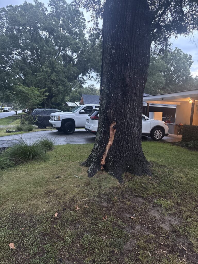 Strike to Our Oak Tree + 3 Exit Points